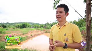 คนไทยหัวใจเกษตร  09 สิงหาคม 2562 B2