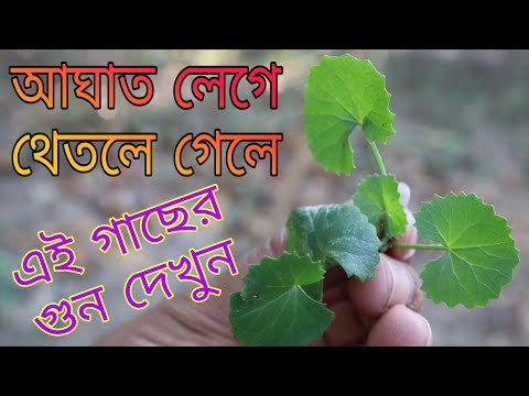 ভিডিও: কিভাবে একটি আঘাত করা যায়