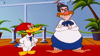 Download Lagu Woody’s Child?! | Woody Woodpecker MP3 Download Lagu Woody’s Child?! | Woody Woodpecker MP3