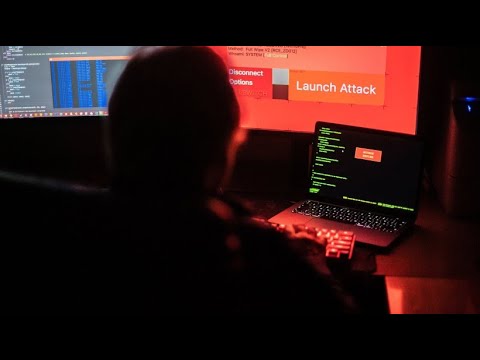 Wer jagt die Hacker? Alina wird Cybercop | SWR Doku