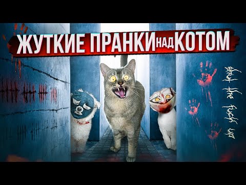 24 ЧАСА СТРАШНЫХ ПРАНКОВ НАД КОТЁНКОМ СЛАДУНОМ
