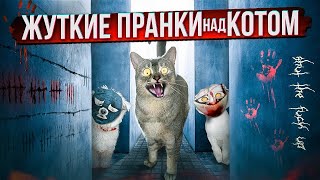 24 ЧАСА СТРАШНЫХ ПРАНКОВ НАД КОТЁНКОМ СЛАДУНОМ