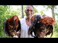 Rooster Chicken | Country Chicken Recipe by Our Grandpa Cooking For Orphan Kids