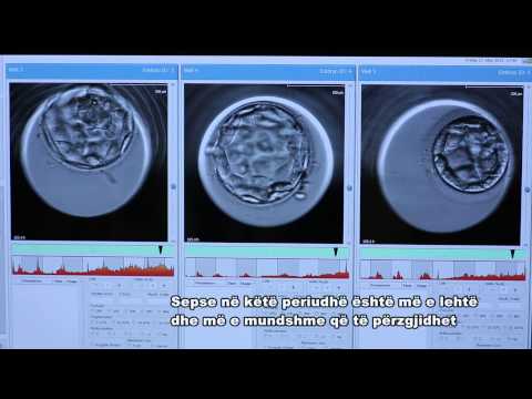 Video: 3 mënyra për të përmirësuar implantimin e embrionit