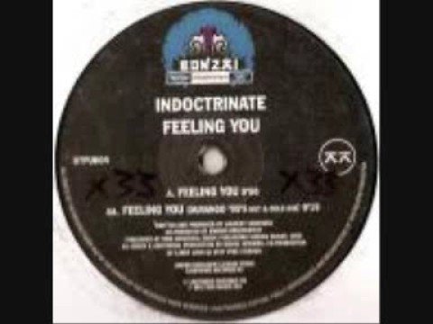 Indoctrinate — Indoctrinate - Feeling You