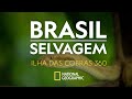 BRASIL SELVAGEM |Ilha das Cobras | 360