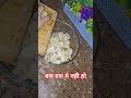बस वश मे नही हो तुम #comedy #funny #youtubeshorts #comdeymemes #comdeyclub  #comedymovies #ytshorts