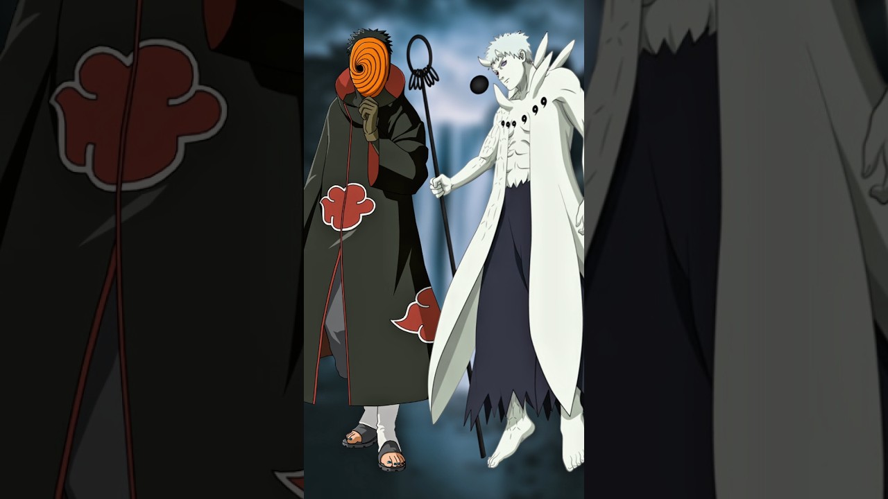 Akatsuki Member in Final Form Before Died 