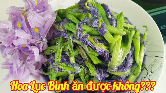 4. Giá trị dinh dưỡng và tác dụng sức khỏe