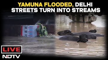 Delhi Rain | Delhi Rain Today | Yamuna Crosses Danger Mark | Delhi Flooded | Yamuna Bazar | LIVE