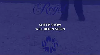The 2024 Royal Sheep Show: Day 1