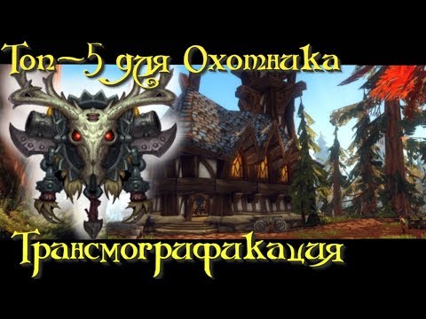 Видео: Топ-5 сетов трансмогрификации для Охотников. World of Warcraft