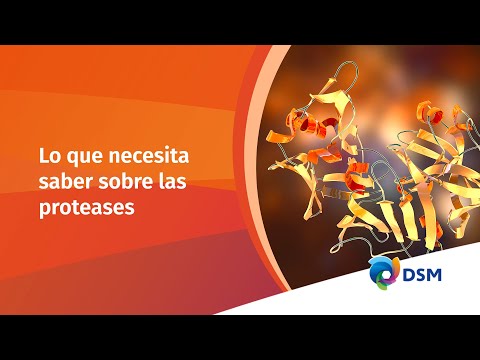 Vídeo: Diferencia Entre Proteasa Y Peptidasa