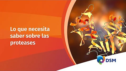 ¿Cómo funcionan los inhibidores de integrasa?