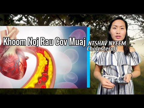 Khoom Noj Pab Rau Cov MOB NTSHAV NYEEM/ROJ (Cholesterol) by Ncais Vaj