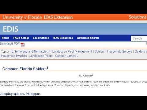camera iphone 8 plus apk Common Large Spiders