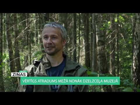 Video: Kā Nosūtīt Bagāžu Pa Dzelzceļu