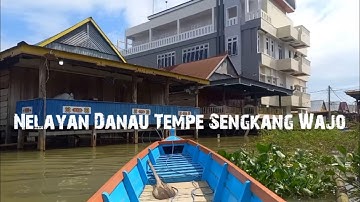 NELAYAN DANAU TEMPE ATAU PETANI PESISIR DANAU TEMPE⁉️