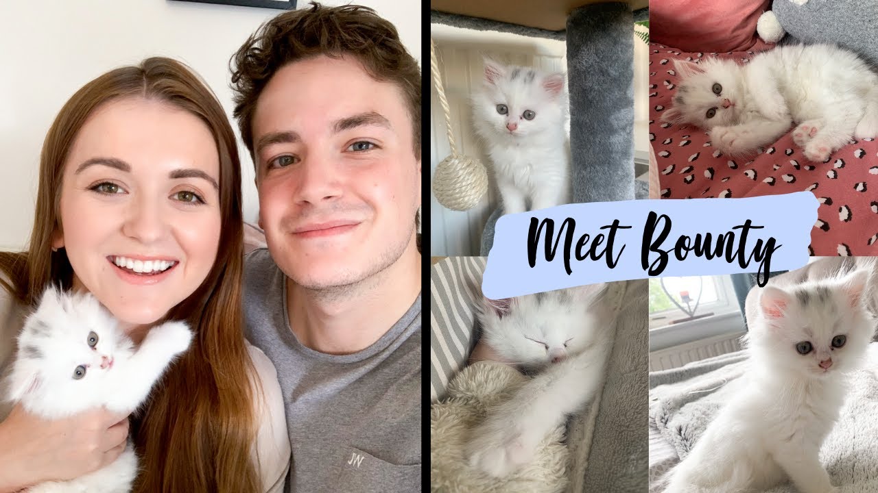 Meet Our New Addition... Our Little Kitten, Bounty 🐱💙