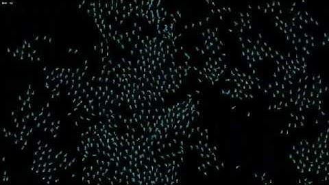 Boids Algorithm test