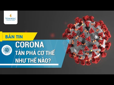 Corona tàn phá cơ thể chúng ta như thế nào?