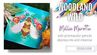 Colour Along | Woodland Wild by Millie Marotta