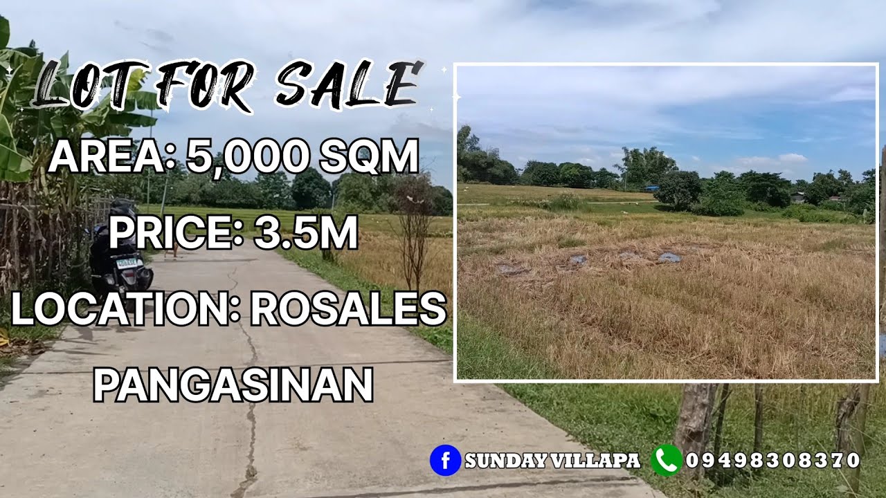 V32 5,000 SQM, LOT FOR SALE, PRICE 3M, LOCATION ROSALES PANGASINAN
