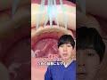 【雑学】犬歯間保定装置について解説します#Shorts