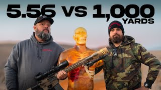 The Ultimate Test: Is 5.56 LETHAL At 1,000 Yards?