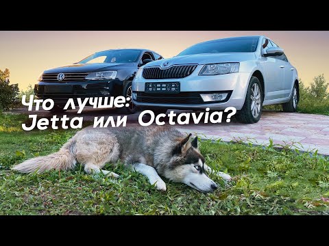 Видео: Skoda Octavia или VW Jetta, что покупать в 2021 году?!