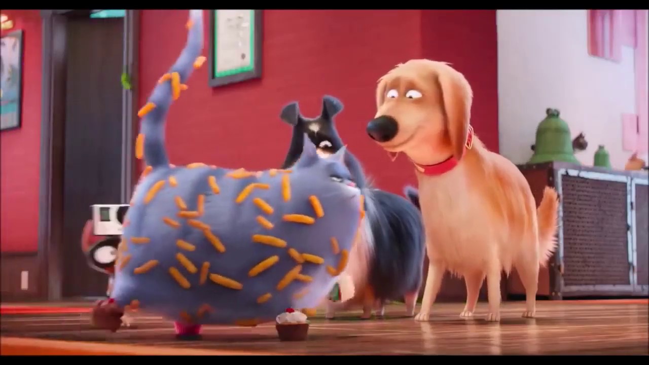 The Secret life of Pets Chloe funny video YouTube