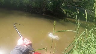 How To Catch Musky From The Bank (Without Breaking The Bank)