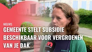 Gemeente stelt subsidie beschikbaar voor vergroenen van je dak