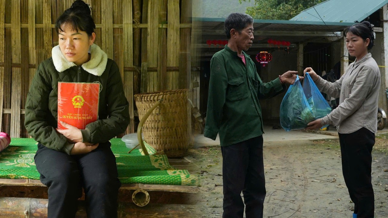 Получив в наследство заброшенный участок земли, как эта мать-одиночка сможет его преобразить?