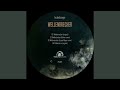 Wellenbrecher Lucas Mayer Remix 