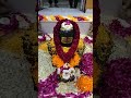 गोरख जाति के सदस्य मच्छिन्द्र के शिष्य | अलख निरंजन आदेश | गोरखनाथ डीजे सॉन्ग | बालयोगी बाबा बालकनाथ