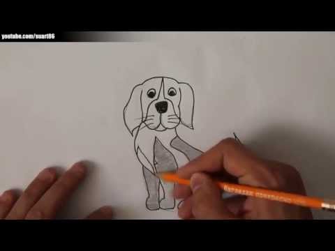 Video: Kako Risati Psa