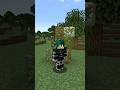 NESSUNO CONOSCE questi BLOCCHI MUSCHIATI di MINECRAFT