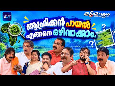 Marimayam | 4 K | Super Comedy | Ep 567 | manoramaMAX