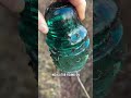 What is this green thing !