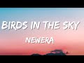 Birds In The Sky - NewEra (Lyrícs)