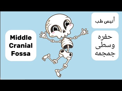 حفره وسطی جمجمه