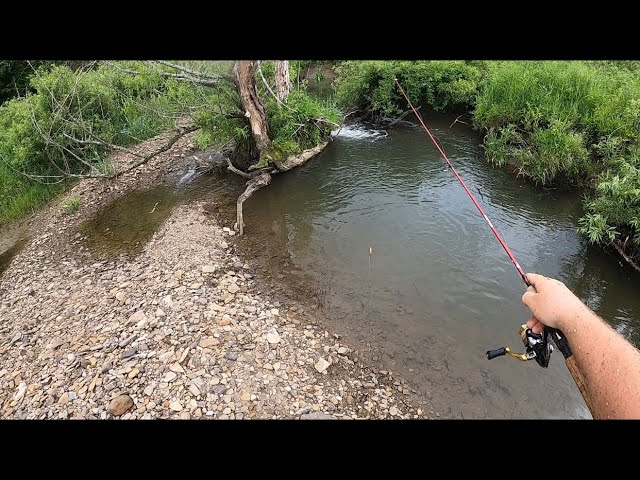 How i Fish Hardbody Lures for Brown Trout 