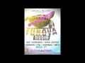 Tun ova riddim mix birchill records june 2013 djyoungbud