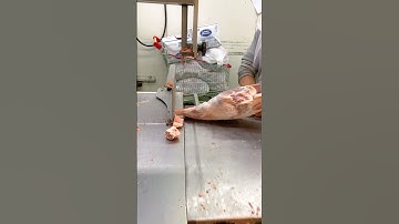Frozen Leg Mutton Cutting Machine #shorts