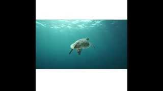 Andaman Sea 2