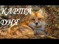 3 НОЯБРЯ КАРТА ДНЯ (ДИКО ИЗВИНЯЮСЬ ЗА СВОЙ ГОЛОС)