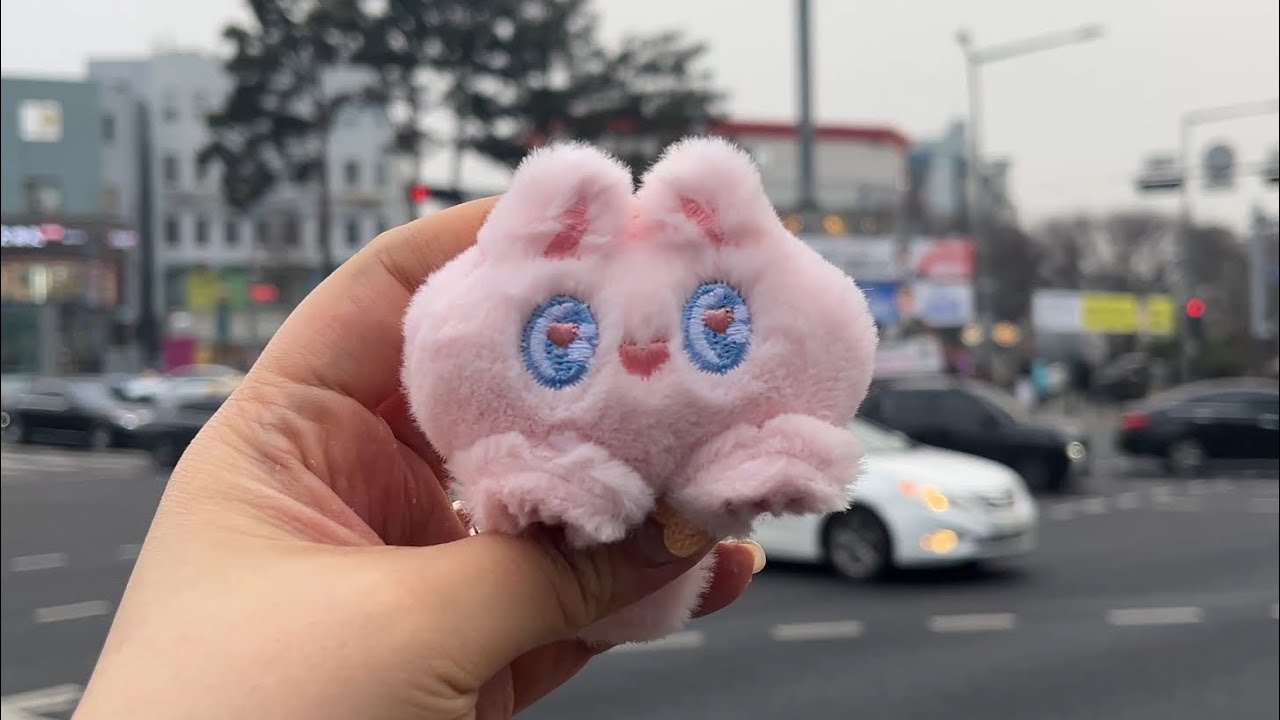 체리와 브이로그를 시작하자