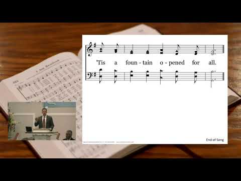 Video preview