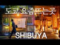 [도쿄맛집] 시부야 인기 급상승중! 신상맛집 뿌시기! (두부 소라노, 푸딩 드립커피 satella)